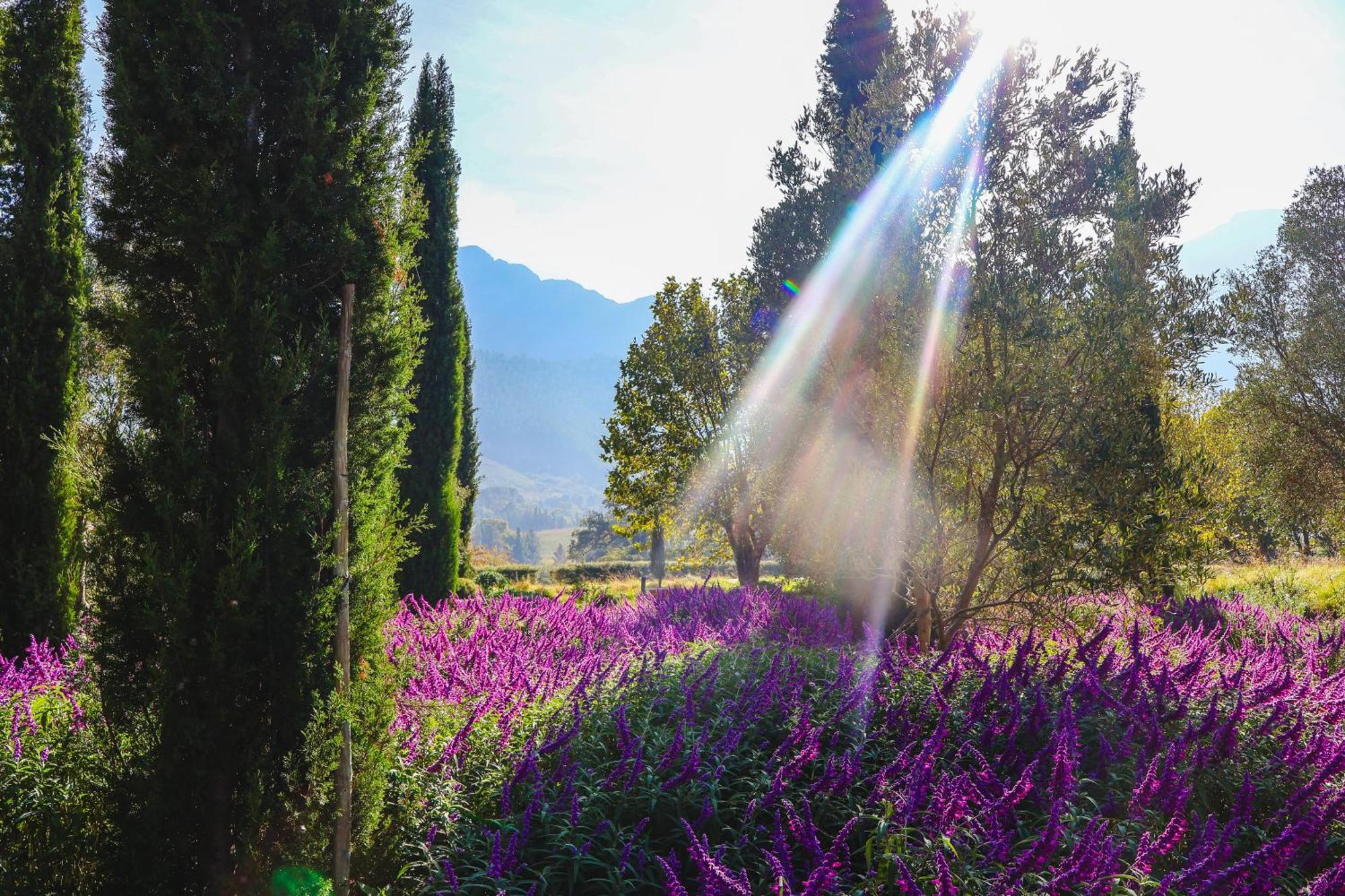 La Villa Franschhoek Exteriör bild